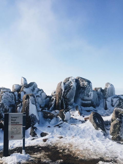 Small-Group Tour From Hobart: Mt Wellington, Bonorong Wildlife Park And Richmond - Mackay Tourism 3