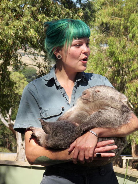 Small-Group Tour From Hobart: Mt Wellington, Bonorong Wildlife Park And Richmond - Mackay Tourism 8