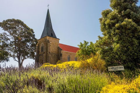 Small-Group Tour From Hobart: Mt Wellington, Bonorong Wildlife Park And Richmond - Mackay Tourism 27
