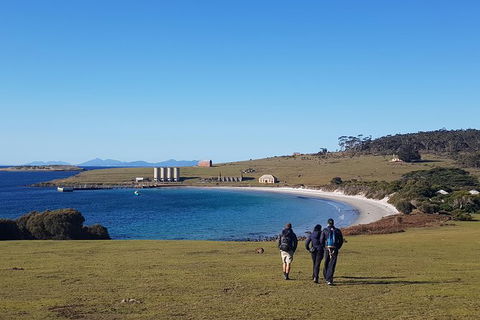 6-Day Best Of Tasmania Hiking Tour From Hobart - Mackay Tourism 1