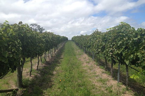 Coal River Valley & Hobart Food & Wine Grazing Tour - Mackay Tourism 0
