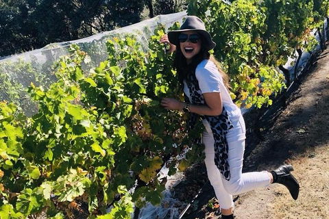 Valleys Of Vino Tour - Mackay Tourism 1