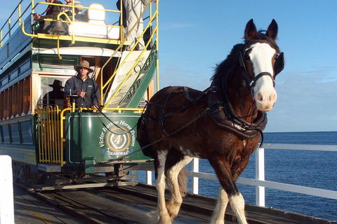 Full-Day Tour In South Australia Highlights - Mackay Tourism 0