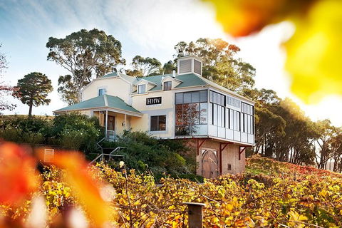 Adelaide Hills Private Cellar Secrets Experience From Adelaide Or Glenelg Or Barossa Valley - Mackay Tourism 0