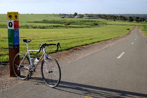 McLaren Vale Shiraz Trail Cycling Tour From Adelaide - Mackay Tourism 1