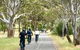 McLaren Vale Shiraz Trail Cycling Tour From Adelaide - thumb 4