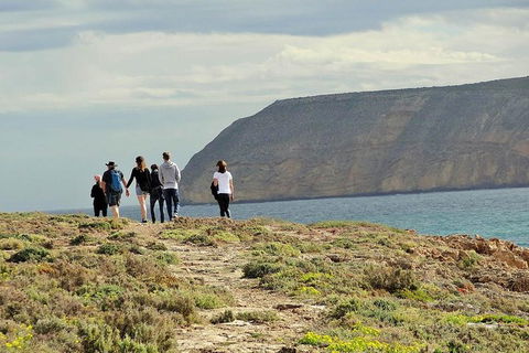 6-Day Eyre Peninsula & Flinders Ranges Adventure Tour - Mackay Tourism 4
