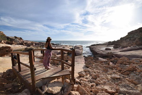 6-Day Eyre Peninsula & Flinders Ranges Adventure Tour - Mackay Tourism 13