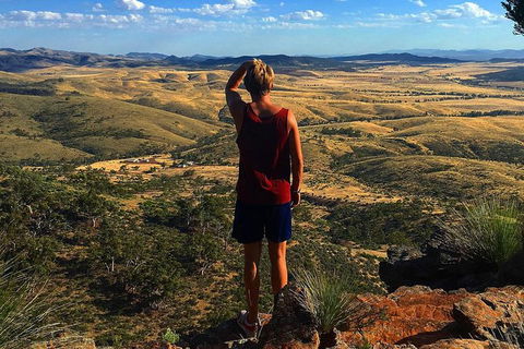 6-Day Eyre Peninsula & Flinders Ranges Adventure Tour - Mackay Tourism 2