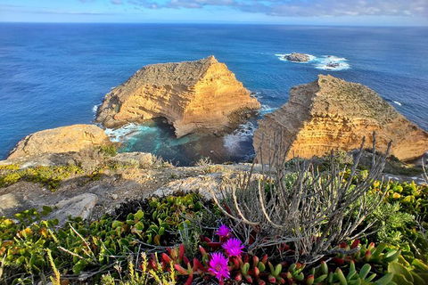 6-Day Eyre Peninsula & Flinders Ranges Adventure Tour - Mackay Tourism 10