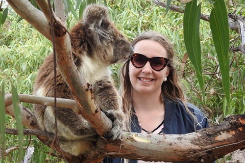 6-Day Eyre Peninsula & Flinders Ranges Adventure Tour - Mackay Tourism 8