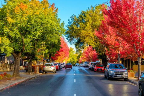 Adelaide City Highlights With Hahndorf And Mt. Lofty - Mackay Tourism 7