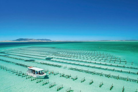 Coffin Bay Day Tour - A Taste Of Coffin Bay - Mackay Tourism 0