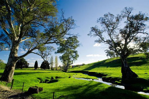 Adelaide Highlights And Hahndorf Tour With Optional River Cruise - Mackay Tourism 0
