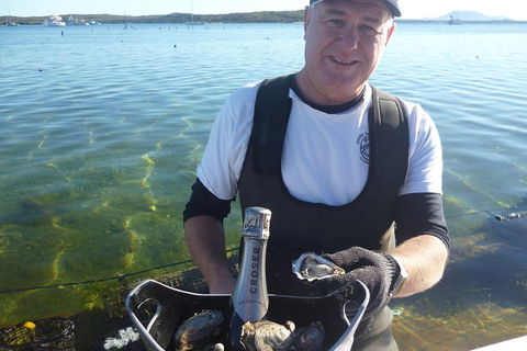 Oyster Farm And Tasting Tour With Hotel Pick-up And Return From Port Lincoln - Mackay Tourism 2