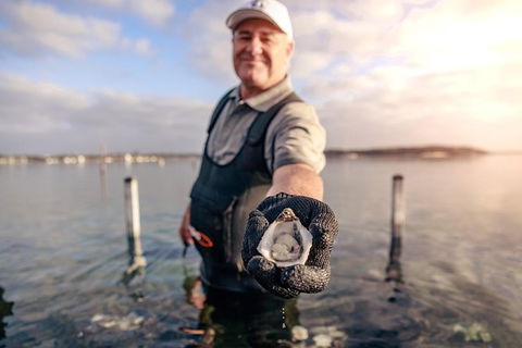 Oyster Farm And Tasting Tour With Hotel Pick-up And Return From Port Lincoln - Mackay Tourism 3