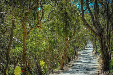 Get UnCorked In Clare Valley Tour From Adelaide - Mackay Tourism 6