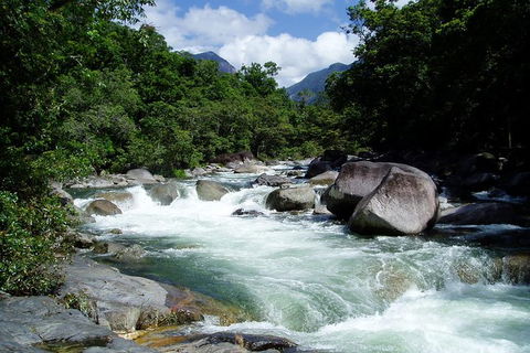 Daintree Rainforest, Cape Tribulation, Mossman Gorge In A Day - Mackay Tourism 0