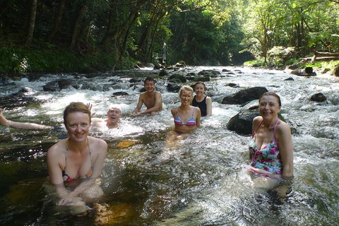 Daintree Rainforest, Cape Tribulation, Mossman Gorge In A Day - Mackay Tourism 10