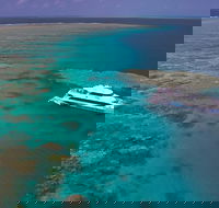 Silversonic Outer Great Barrier Reef Dive and Snorkel Cruise from Port Douglas - Mackay Tourism