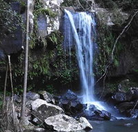 You Choose the Tour Brisbane Private Chauffeur Driven Personal Tour - Mackay Tourism