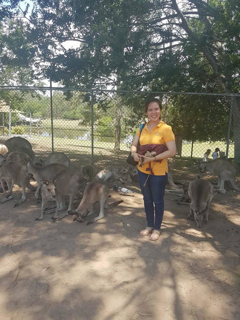 Lone Pine Koala Sanctuary Admission With Brisbane River Cruise - Mackay Tourism 17