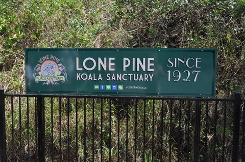 Lone Pine Koala Sanctuary Admission With Brisbane River Cruise - Mackay Tourism 7
