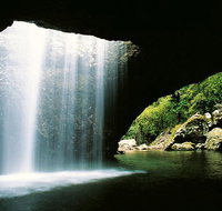 World Heritage Springbrook National Park Tour Including Natural Bridge - Mackay Tourism