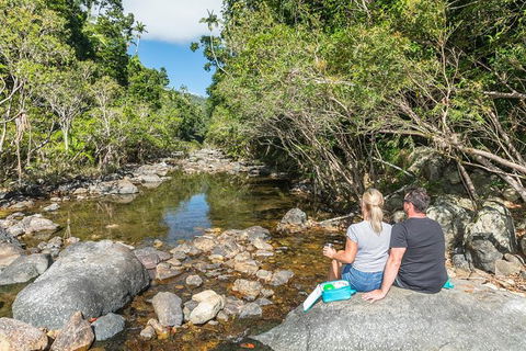 Whitsunday Segway Rainforest Discovery Tour - Mackay Tourism 4