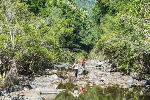 Whitsunday Segway Rainforest Discovery Tour - Mackay Tourism 10
