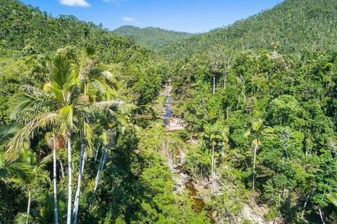 Whitsunday Segway Rainforest Discovery Tour - Mackay Tourism 5
