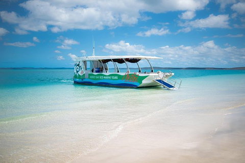 Great Sandy Marine Park Turtle Discovery And Cultural Eco Tour - Mackay Tourism 0