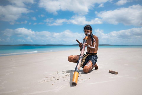 Great Sandy Marine Park Turtle Discovery And Cultural Eco Tour - Mackay Tourism 6
