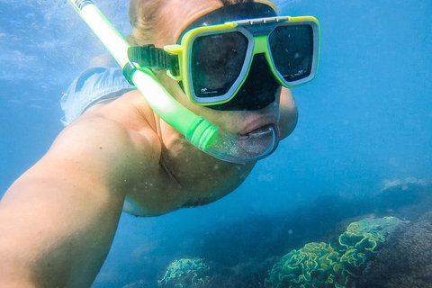 Great Sandy Marine Park Turtle Discovery And Cultural Eco Tour - Mackay Tourism 2