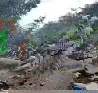 Personalised Private Platypus Land Tour