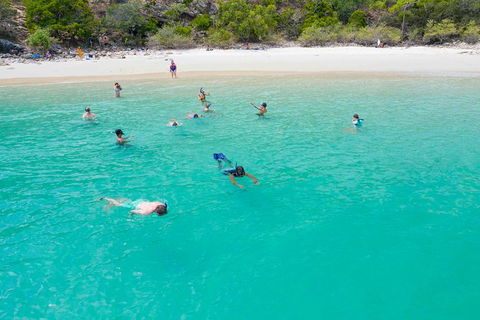 Stray Australia: Brisbane To Cairns Freestyle Tour - Mackay Tourism 1