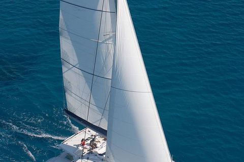 Afternoon Low Isles Snorkeling And Sailing Cruise From Port Douglas - Mackay Tourism 1
