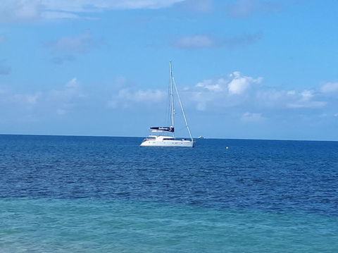 Afternoon Low Isles Snorkeling And Sailing Cruise From Port Douglas - Mackay Tourism 7
