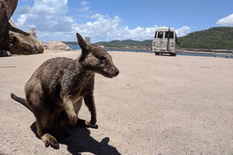 Magnetic Island Tour: Maggie Comprehensive - Mackay Tourism 2