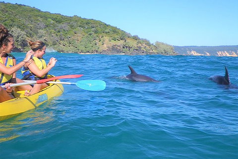 Half-Day Kayak With Dolphins And 4WD Beach Drive From Rainbow Beach - Mackay Tourism 1