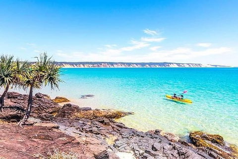Half-Day Kayak With Dolphins And 4WD Beach Drive From Rainbow Beach - Mackay Tourism 5