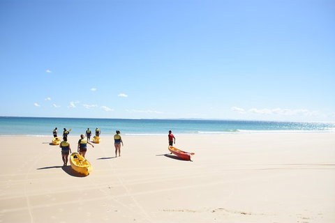 Half-Day Kayak With Dolphins And 4WD Beach Drive From Rainbow Beach - Mackay Tourism 10