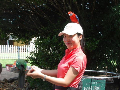 O'Reilly's Lamington National Park And Treetop Canopy Tour - Mackay Tourism 5