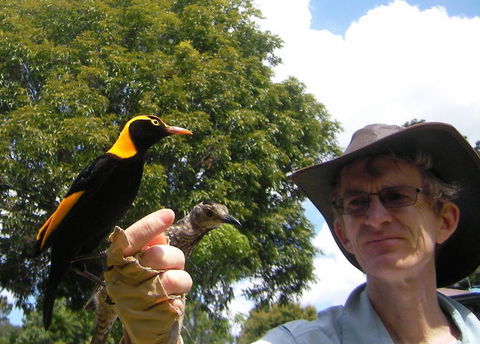 O'Reilly's Lamington National Park And Treetop Canopy Tour - Mackay Tourism 4