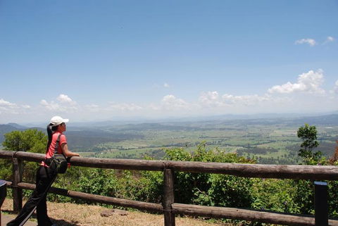 O'Reilly's Lamington National Park And Treetop Canopy Tour - Mackay Tourism 6