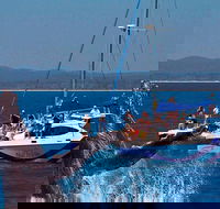 Blue Dolphin Exclusive Whale Watch Encounters - Mackay Tourism