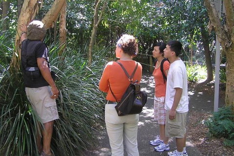 Boomerang Aboriginal Cultural Tours - Mackay Tourism 0