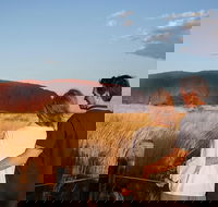 Uluru Ayers Rock Sunset with Outback Barbecue Dinner and Star Tour - Mackay Tourism