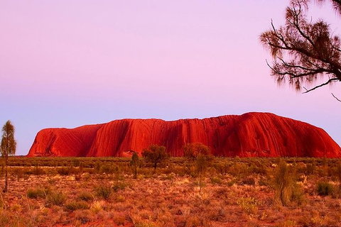 Uluru Small Group Tour Including Sunset - Mackay Tourism 1