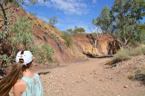 West MacDonnell Ranges Small-Group Full-Day Guided Tour - Mackay Tourism 2